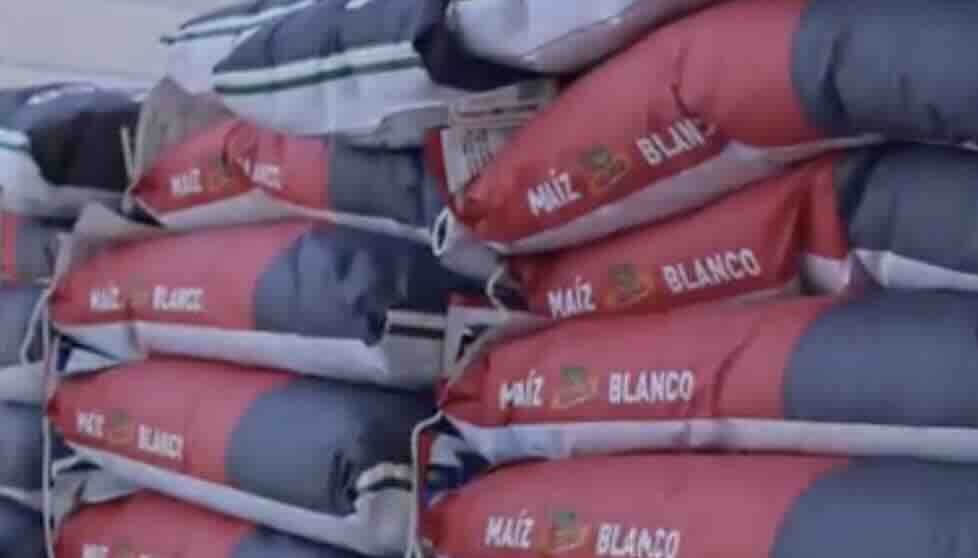 SÍ HABRÁ SEMILLA DE CALIDAD AL CAMPO