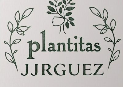 Plantitas JJRGUEZ