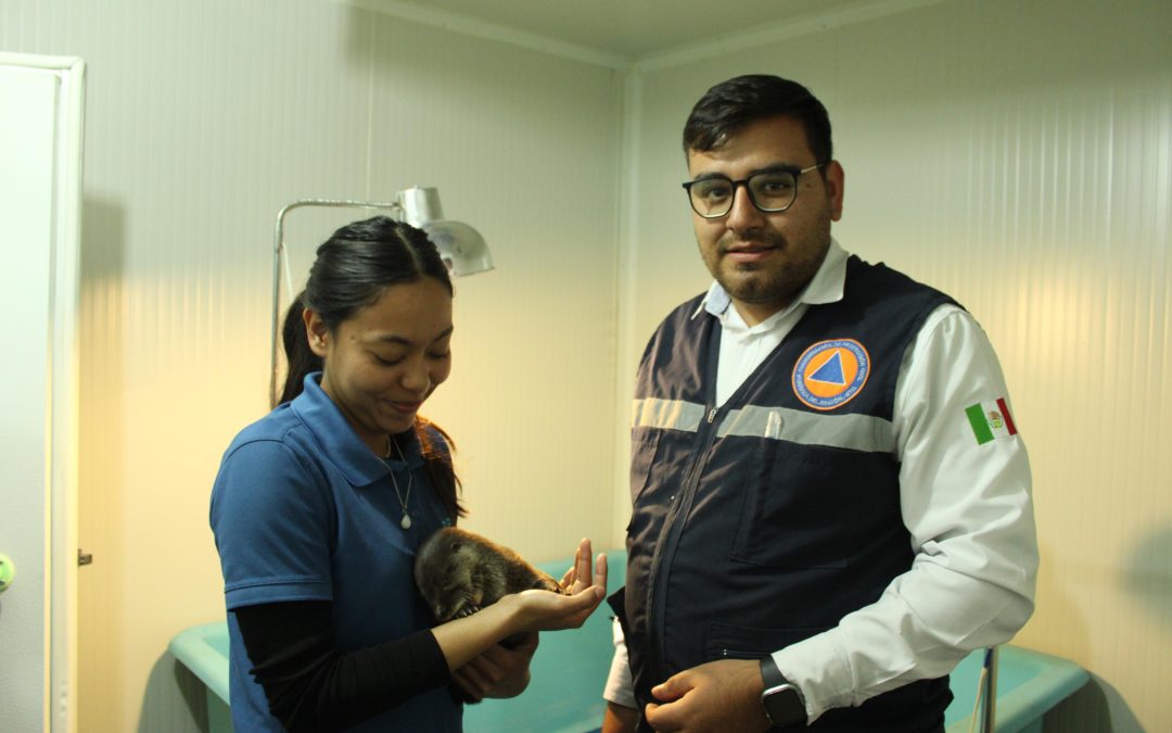 NUTRIA VOLVERÁ AL AGUA